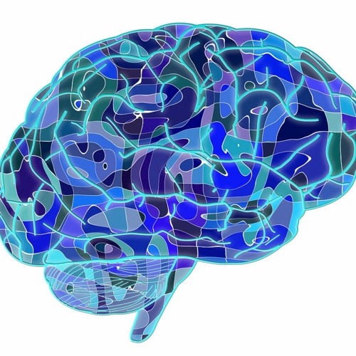 How Menopause Changes Brain Structure and Connectivity
