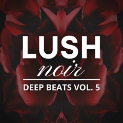 LUSHnoir | Deep Beats Vol. 5 | Future Garage & Downtempo Mix