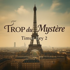 Trop Du Mystère
