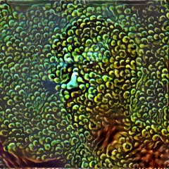 Residual Attributes for Holistic Memory Encoding: 1 [of 4]