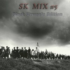 [HIP-HOP] SK Mix #5 : Self-Conscious (Realne$$ 0ver Million$) [BLACK STRUGGLE EDITION] (Ep.01)