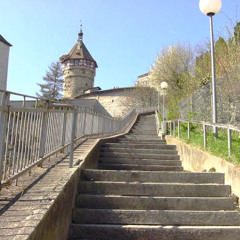 Sportflash: Munot-Treppenlauf