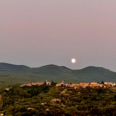 Tuscany Experiments - Whistling with the Dogs of Mount Amiata : )