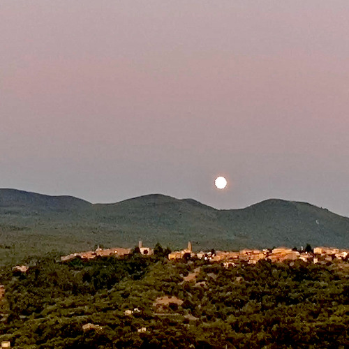 Tuscany Experiments - Whistling with the Dogs of Mount Amiata : )