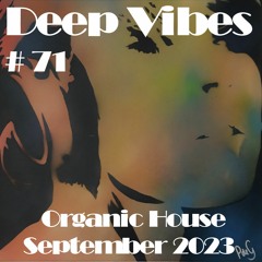 Deep Vibes #71 Organic House [Volen Sentir, Alex Wann, Monkey Safari, Roy Rosenfeld, DAVI & more]