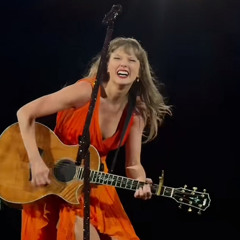 I Did Something Bad Live at The Eras Tour