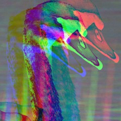 swan concept concept swan