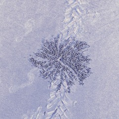 Snowclones w/ Harrison Rae - 21.05.23