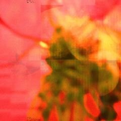 Birdsong (GB 'grubbish' re-mix)