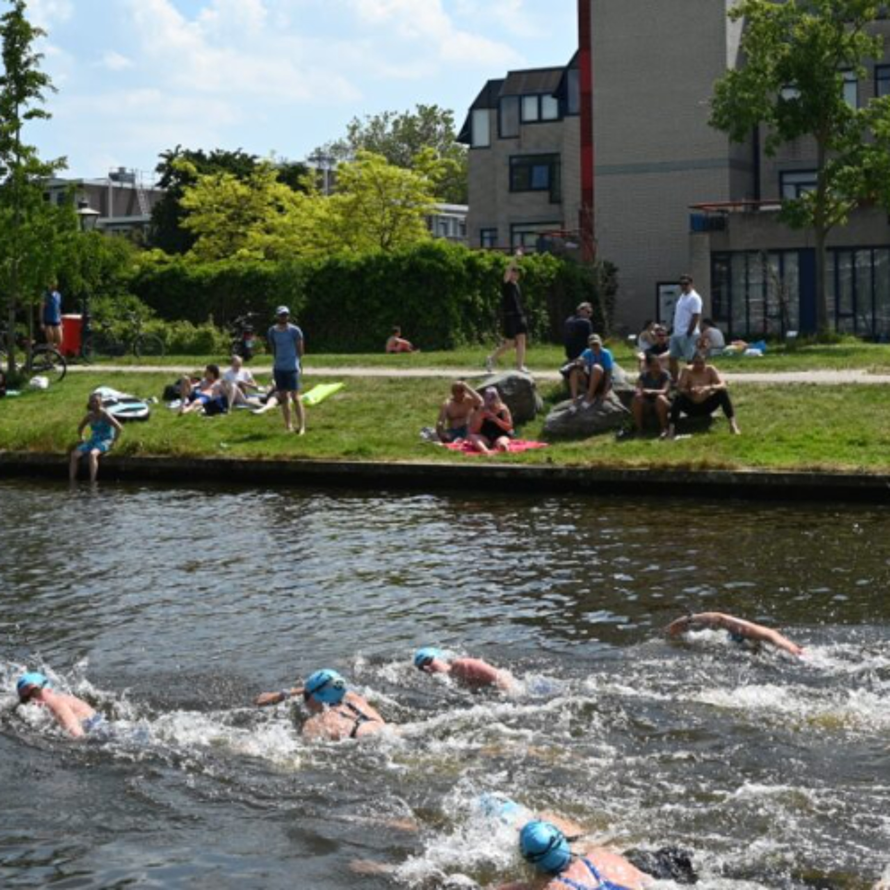 2026-06-14  Swim-In in Leidse grachten episode artwork