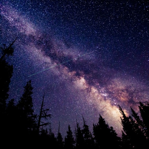 starlight