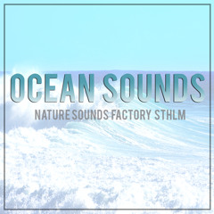 Ocean: White Noise