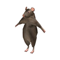 THE RIDDIM RAT TUNE (FREE DL)