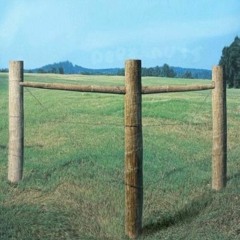 [TEST 2 - Deprivation]