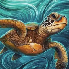 Turtle Journey