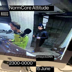 NormCore Attitude 40 w/ ormeye & DNN