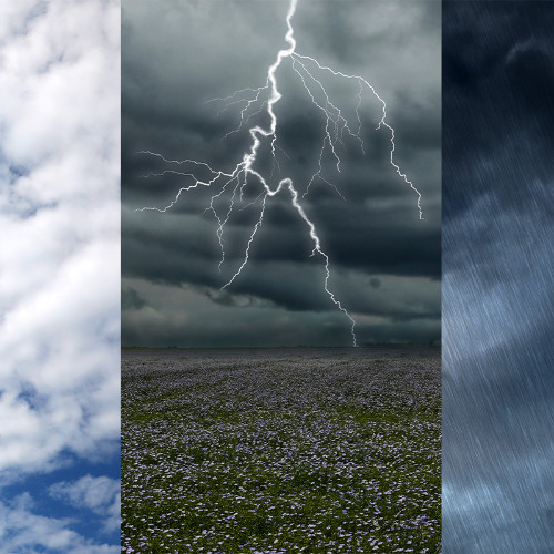 Rain, Clouds, and Climate