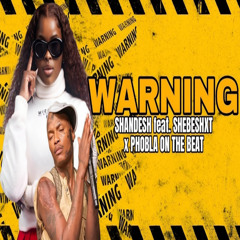 Warning (feat. Shandesh & Shebeshxt)