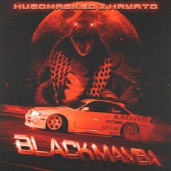 Black Mamba W/HayatoPlaya