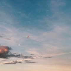 P∆PER PL∆NEZ