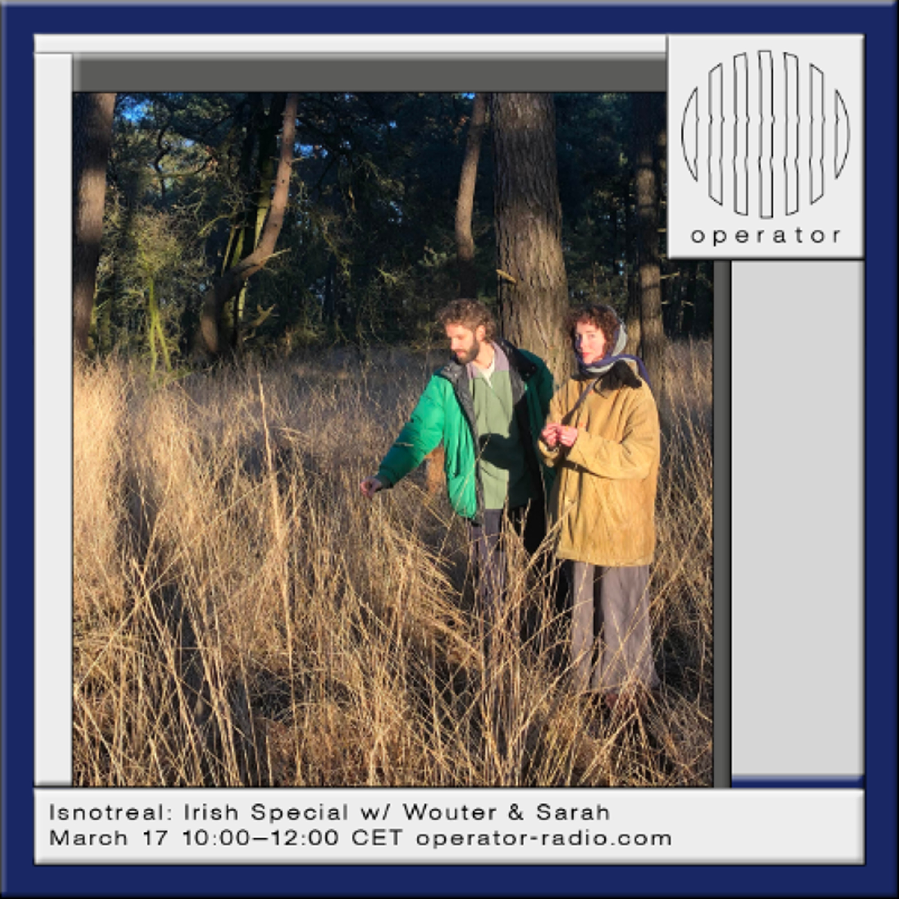 Isnotreal: Irish Special w/ Wouter & Sarah - 17th March 2026 episode artwork