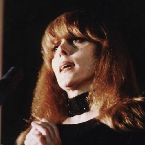 أمس التقينا وحكينا عند وردات السياج