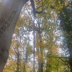 the devil in disguise