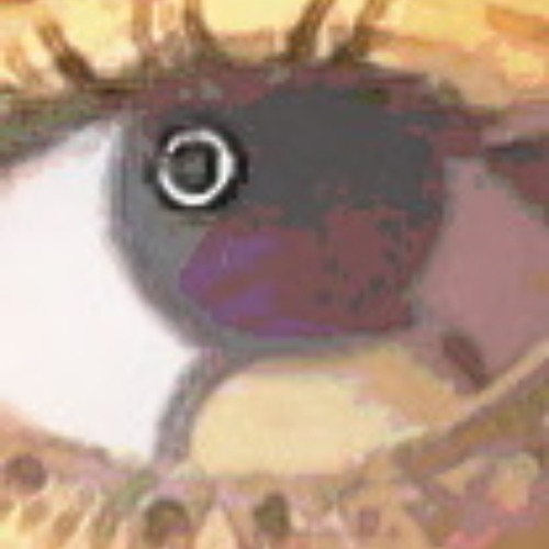Point vs. Point of View