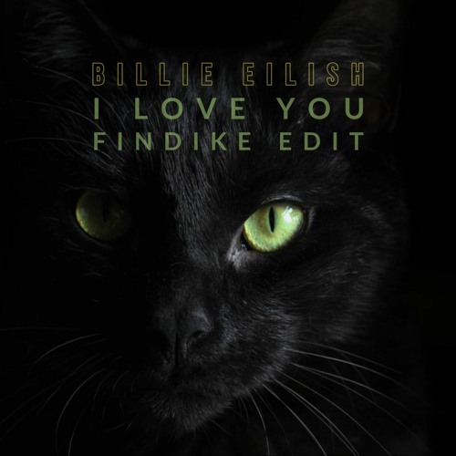 Billie Eilish - I Love You (Findike Edit)