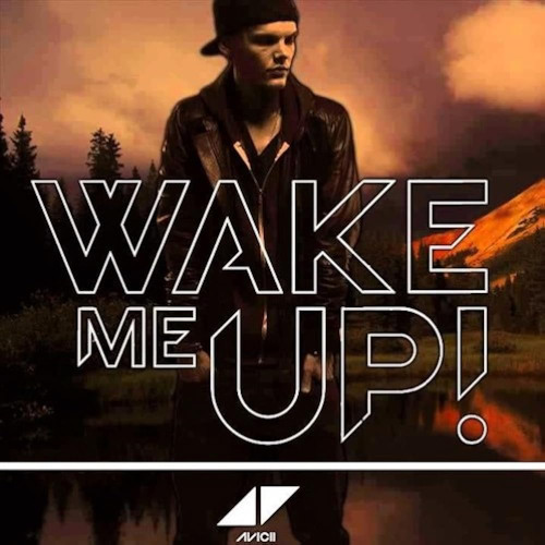 Stream WAKE ME UP - AVICII & ALOE BLACC (YNT REMIX) by YNT | Listen  online for free on SoundCloud