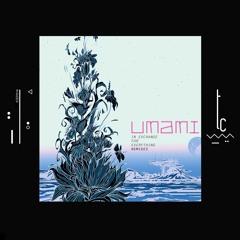 Umami, Monolink - Terra Mount (Nick Warren & Nicolas Rada Remix) [trueColors]