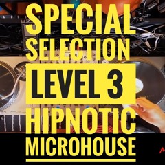 VINYL ONLY Marc Fàbregas : Selection #Level3# Hipnotic Microhouse