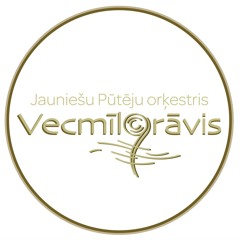 Zuberland (Children orchestra "Vecmilgrāvis")