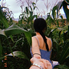 Skinny Love - Bon Iver