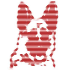 SCOTT FRASER - EDEN AND AFTER