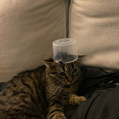 Freddie Gibbs “Blow” ft. Westside Gunn (prod me)