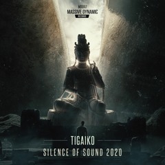 Tigaiko - Silence Of Sound 2020 (Radio Version)