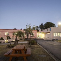 야자수 (서스픽스 커버)