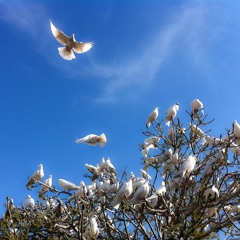 "Dont Know Da Half Pt. II" [IcedOutNami]