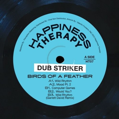 PREMIERE : Dub Striker - Mood Pt.2
