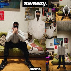Aweezy - Exotic (Stems Performance)