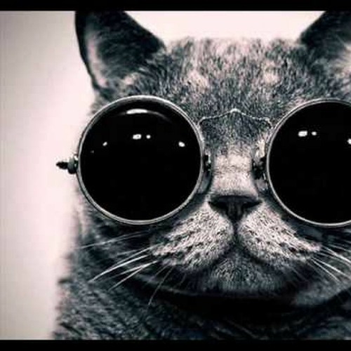 Tech House Kinda Thing