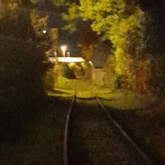 Шизофреник