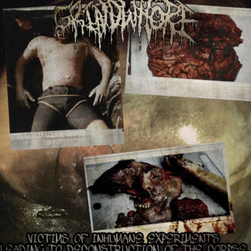 Splattered Guts Smeared Across The Mirror