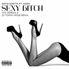David Guetta , Akon - Sexy Bitch ( Yas Cepeda & DJ Tommy Rose Remix ) FREE DOWNLOAD