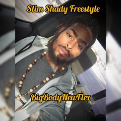 Slim Shady - Freestyle - BigBodyNewFlex