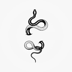 Welcome Snakes
