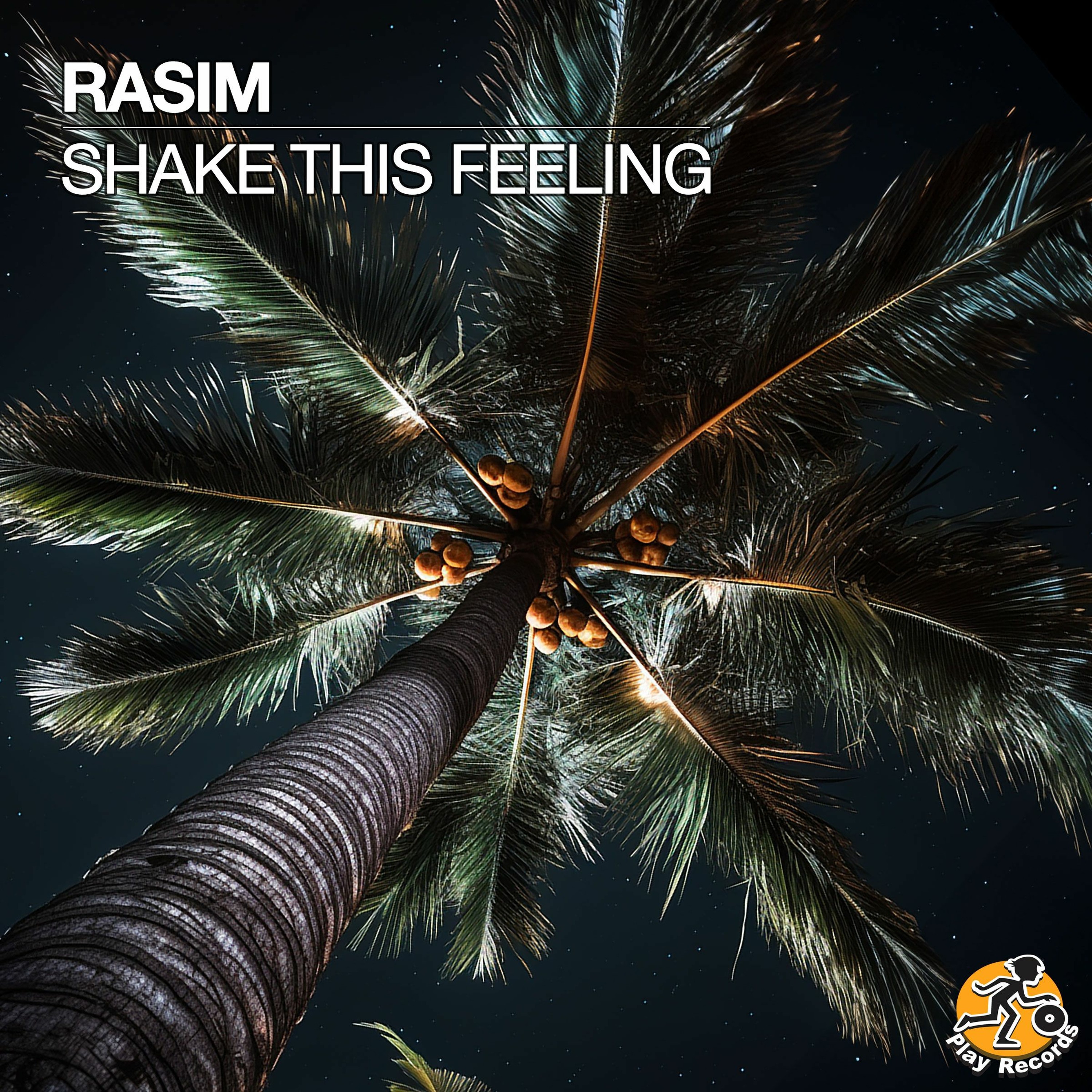 RASIM / Shake This Feeling (Original Mix) episode artwork