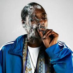 Snoop Dogg Type Beat - Wah Wah | G Funk Type Beat | West Coast Instrumental