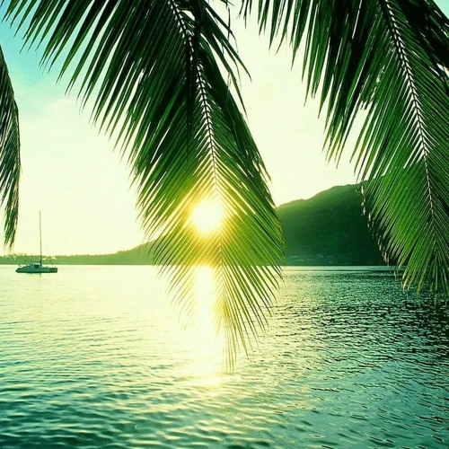 Tropical Music audio background music [({FREE DOWNLOAD})]